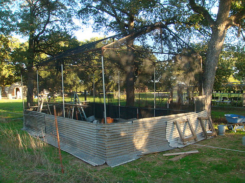 Tall Flight Pen - PoetryShootingClub.comPoetryShootingClub.com