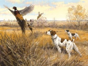 bird dog trainers